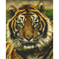 Tiger 34156